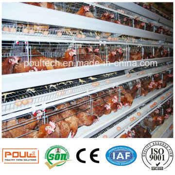 Uganda Poultry Layer Farm Chicken Cage Equipment